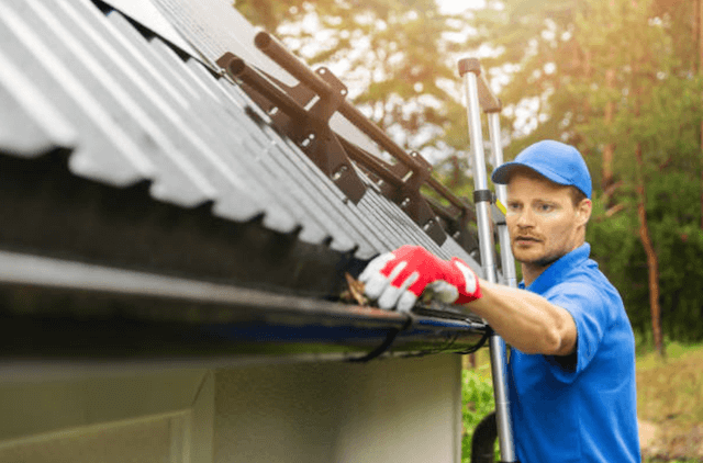 toledo gutter service